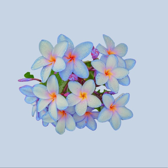 Meet the Posher Other - Meet your Posher, Christina